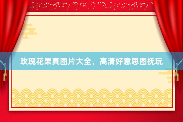 玫瑰花果真图片大全，高清好意思图抚玩