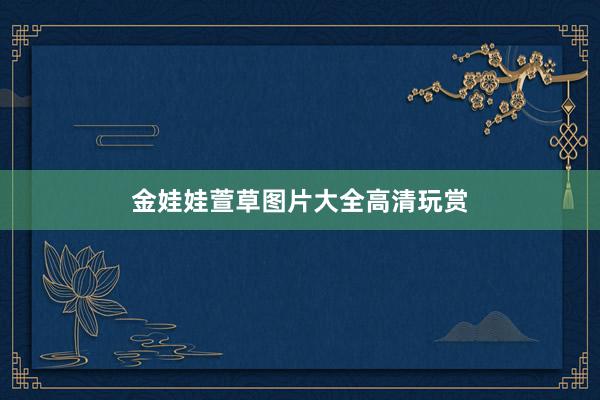金娃娃萱草图片大全高清玩赏